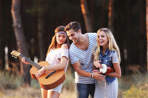 Sorglösa Vänner Med Gitarr Och Trumma Utomhus — Stockfoto