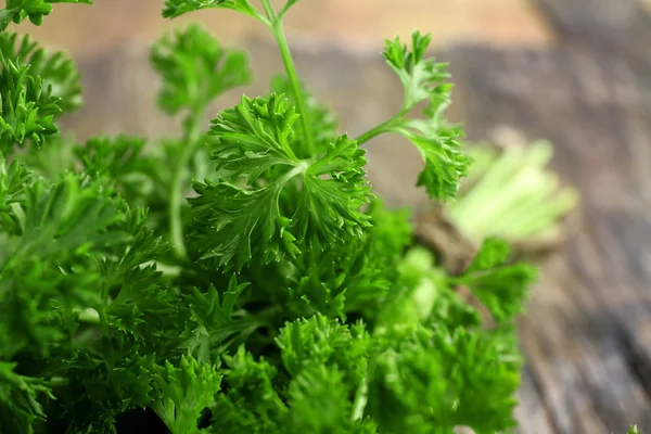 Fresh green parsley — Stock Photo, Image