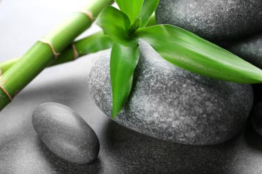 Sıcak bambu gri arka plan üzerinde olan spa taş yakın çekim