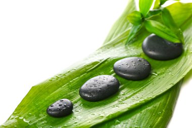 Bambu beyaz izole, taşlarla sıcak spa