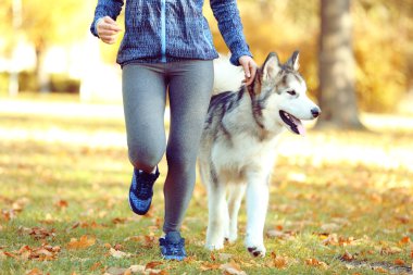 kadın parkta onu köpek ile jogging
