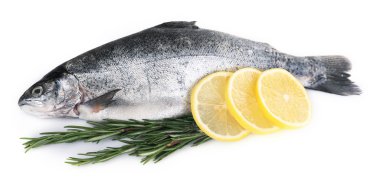 Taze deniz balık limon ve beyaz arka plan üzerinde izole biberiye