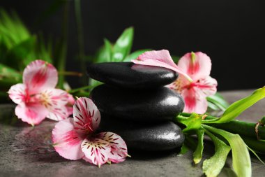 Gül, bambu ve taşlar ile güzel spa kompozisyon