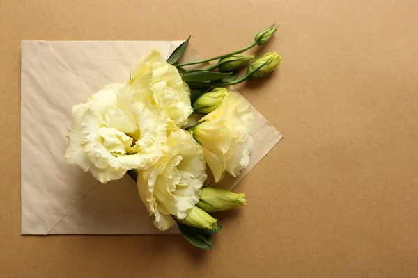 Λευκό eustoma στο φάκελο σε μπεζ φόντο — Φωτογραφία Αρχείου
