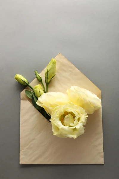 Eustoma blanco en sobre sobre sobre fondo gris —  Fotos de Stock