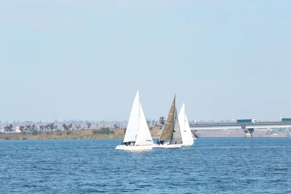 Jachten zeilregatta — Stockfoto