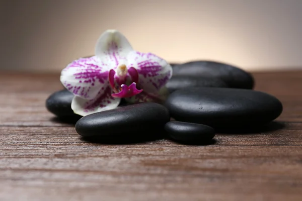 Otoczak czarny z orchidea na drewnianym stole — Zdjęcie stockowe