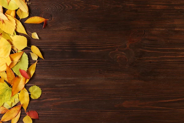 Podzimní listy na dřevěném pozadí — Stock fotografie