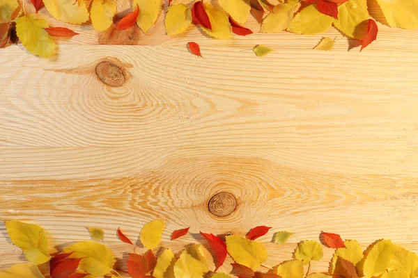 Autumn leaves on light wooden background — Stock Photo, Image