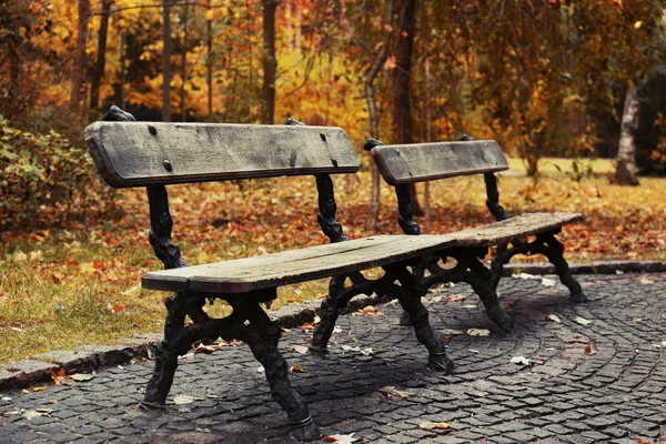 Bänkar i höst park — Stockfoto