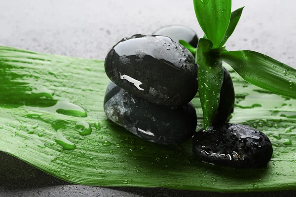 Hot-Wellness-Steine mit Bambus auf grauem Hintergrund, Nahaufnahme — Stockfoto
