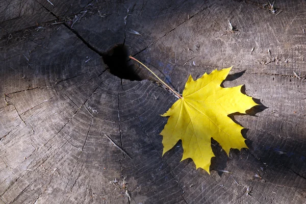 Herbstblatt auf dem hölzernen Hintergrund — Stockfoto