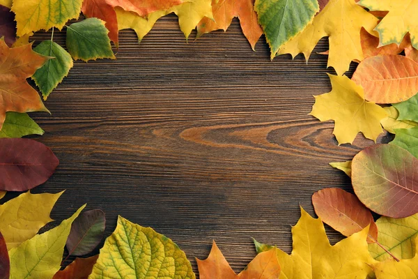 Autumn leaves on the wooden background — Stock Photo, Image