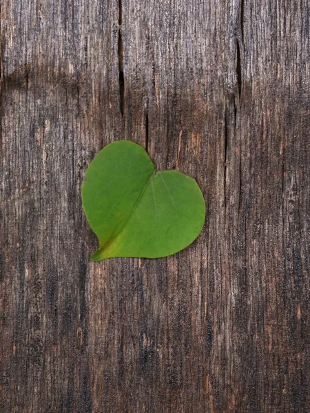 Grönt löv på trä bakgrund — Stockfoto