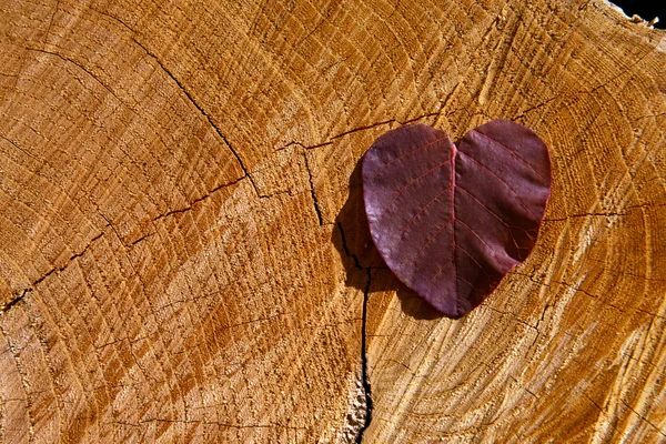 Bruna blad på trä texturerat bakgrund — Stockfoto