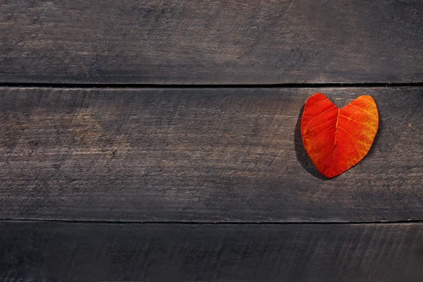 Feuille rouge sur fond texturé en bois — Photo