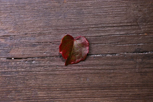 Brown  leaf on wooden textured background — Stock Photo, Image