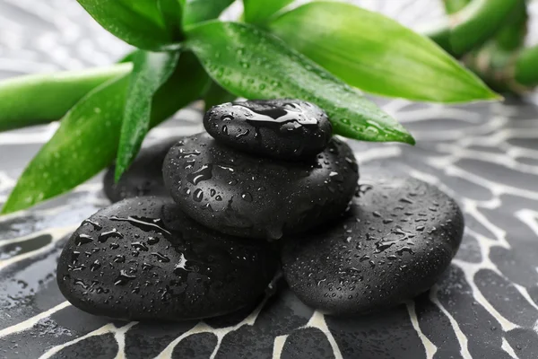 Spa stones and bamboo branch — Stock Photo, Image