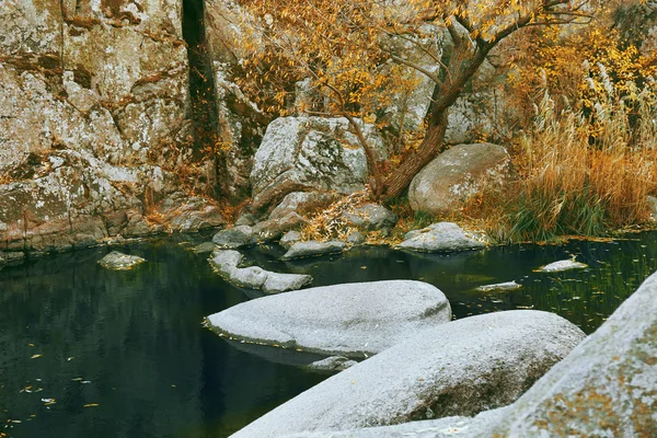 Lindo lago na floresta — Fotografia de Stock