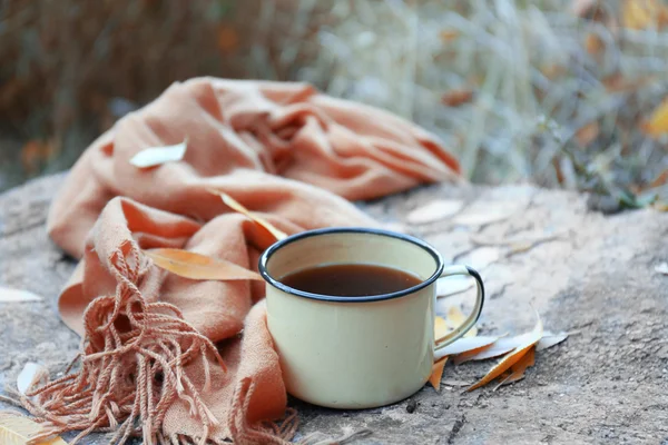 Tasse avec thé chaud sur la roche dans la forêt, gros plan — Photo