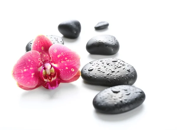 Piedras de spa negro y orquídea — Foto de Stock