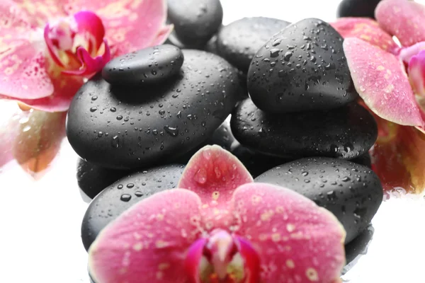 Piedras de spa negro y orquídeas — Foto de Stock