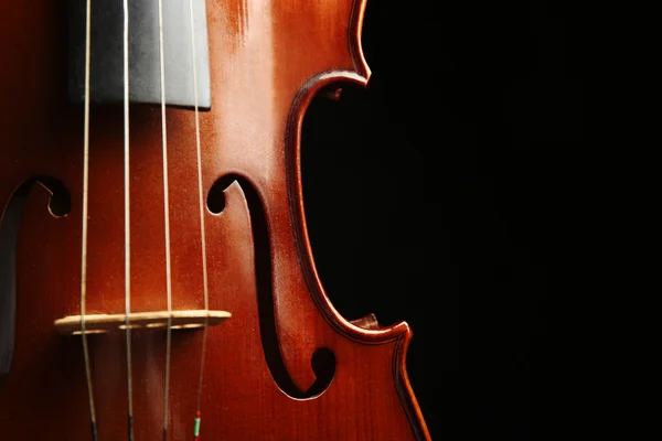 Violino su sfondo scuro — Foto Stock