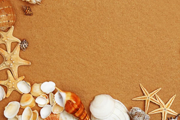 Vários Seashells no papel — Fotografia de Stock