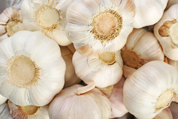 White garlic background — Stock Photo, Image