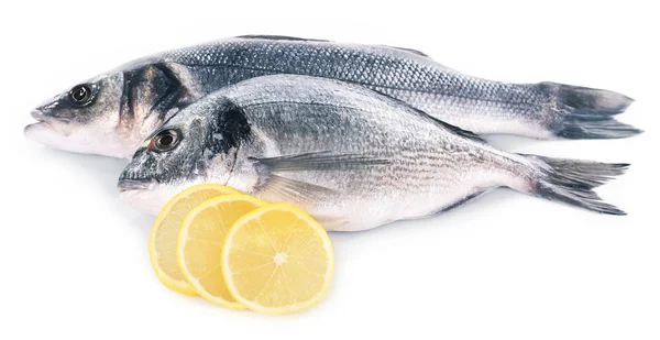 Peixe fresco com limão isolado sobre fundo branco — Fotografia de Stock