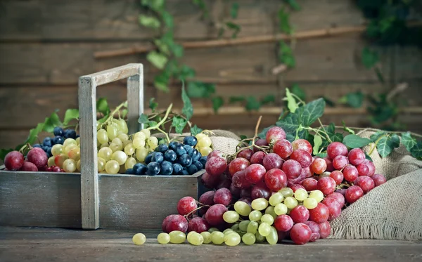 Grape in wooden box on a table — Stock Photo, Image