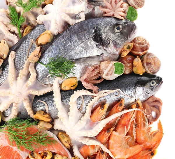 Cóctel de pescado fresco mediterráneo sobre fondo blanco, de cerca —  Fotos de Stock