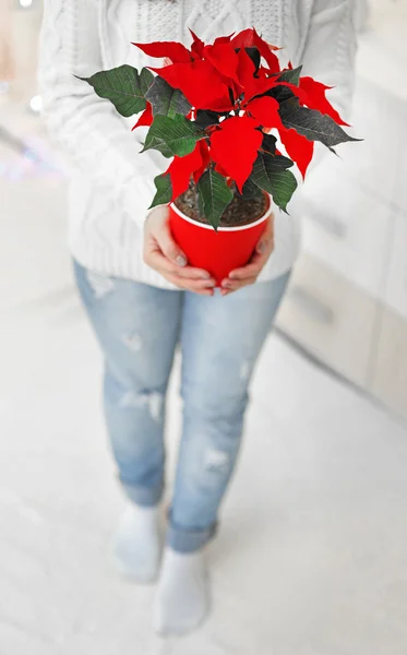 Woman with Christmas flower poinsettia — Stock Photo, Image