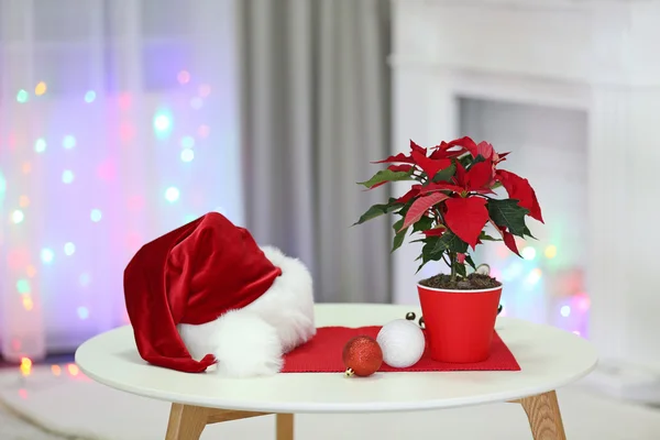 Kerstmis bloem poinsettia op vakantie interieur achtergrond — Stockfoto