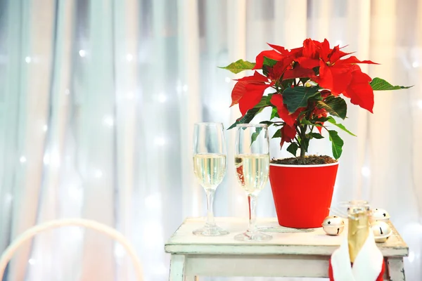Natal poinsettia flor e champanhe em copos, interior — Fotografia de Stock