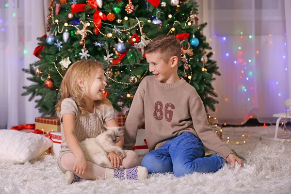 Gelukkige kinderen en pluizig kat — Stockfoto