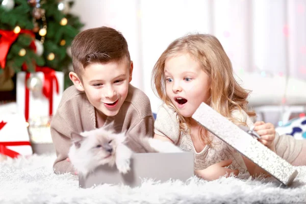 Happy children and fluffy cat in a box — Stock Photo, Image