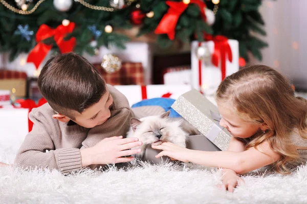 Niños y gato esponjoso en una caja —  Fotos de Stock