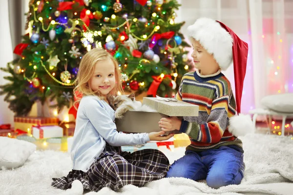 Children and fluffy cat in a box — Stock Photo, Image