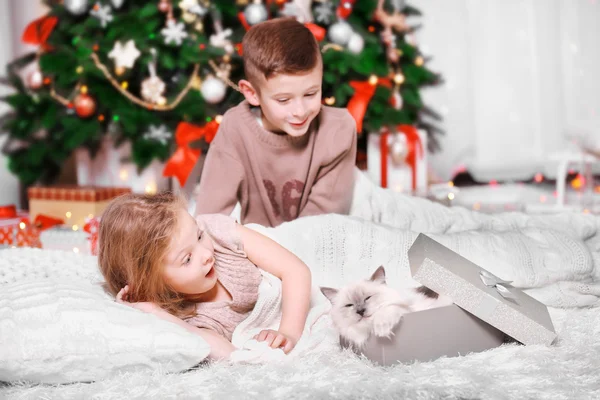 Crianças surpresas com gato como presente — Fotografia de Stock