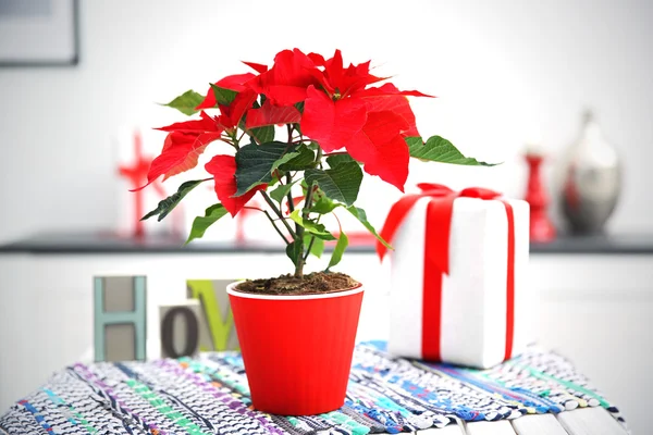 Poinsettia di fiori natalizi e decorazioni su tavola con decorazioni natalizie, su sfondo chiaro — Foto Stock