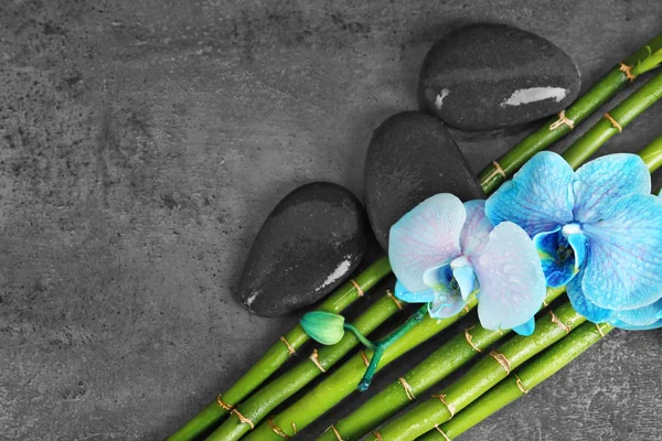 Hermosa composición de spa con orquídea azul, bambú y piedras Fotos De Stock Sin Royalties Gratis