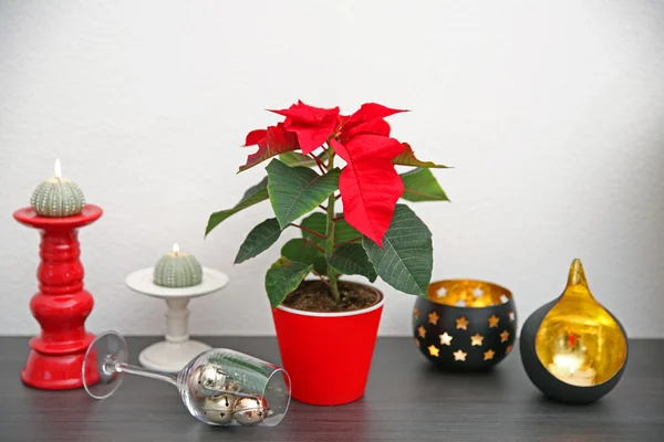 Boże Narodzenie poinsettia kwiatów i dekoracji na półce z ozdób choinkowych, na jasnym tle — Zdjęcie stockowe