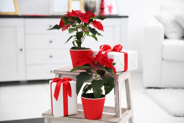 Kerstmis bloem poinsettia en decoraties op decoratieve ladder met kerstversiering, op lichte achtergrond — Stockfoto