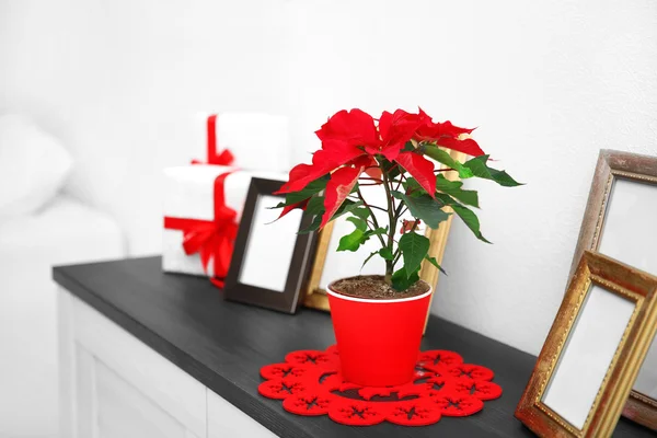 Kerstmis bloem poinsettia en decoraties op laden met kerstversiering, op lichte achtergrond — Stockfoto