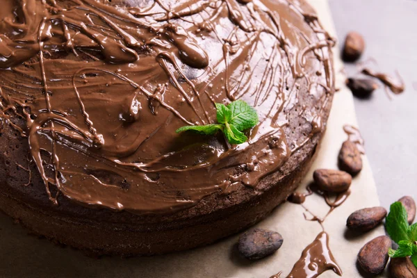 Čokoládový koláč s mátou, detail — Stock fotografie