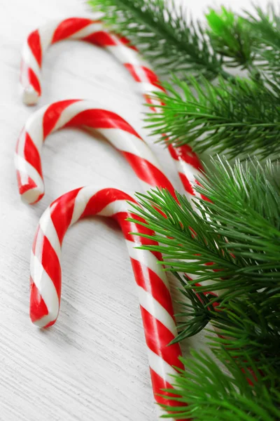 Lolly snoepjes met fir tree — Stockfoto