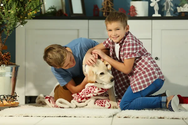 Meninos alegres estão brincando com o cão — Fotografia de Stock