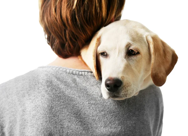 Chłopak posiada Labrador retriever na białym tle — Zdjęcie stockowe