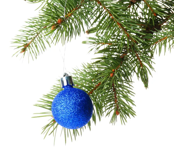 Blauwe bauble op een tak van de kerstboom — Stockfoto